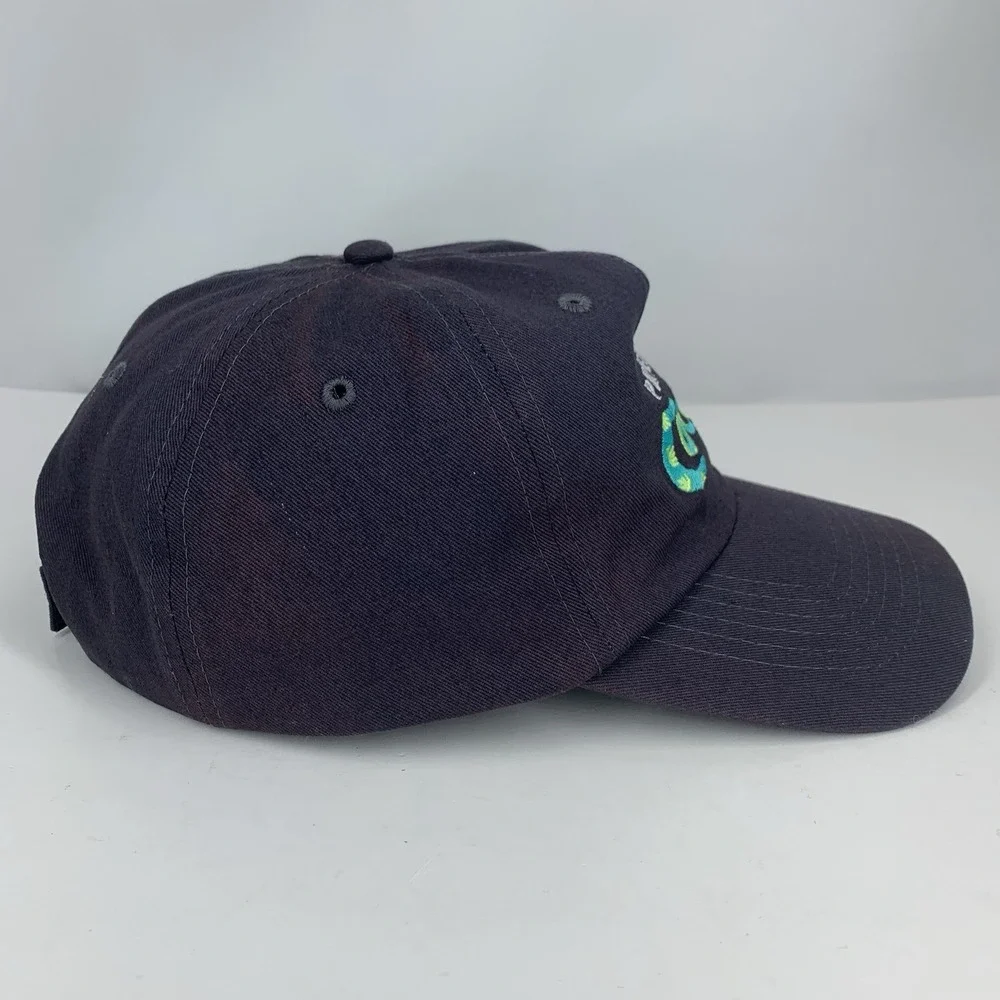Perfect Day At Coco Cay Hat Cruise Blue Adjustable OSFM Baseball Cap